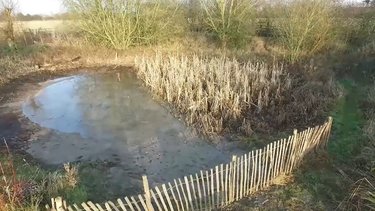 Norton Pond