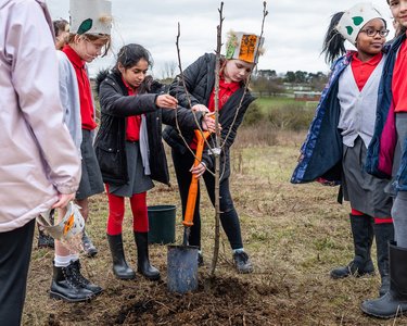 Arbor Day