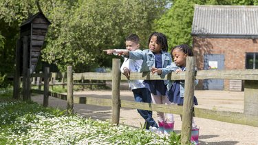 Children watching the ducks at Standalone Farm
