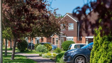 A row of Letchworth houses, with front gardens and trees