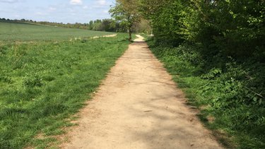 Permissive pathways