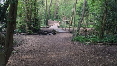 Woodland