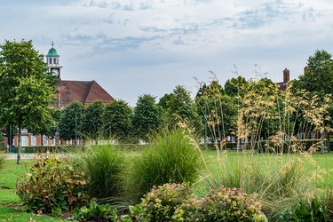 Broadway Gardens in summer, with lots of trees and shrubs in bloom