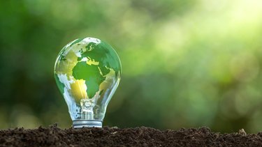 A green lightbulb planted in the ground to represent renewable electricity.