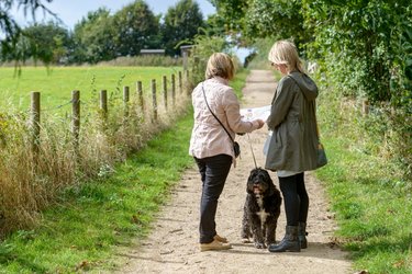 Two people walk a dog along the Garden City Greenway.
