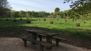 A picnic bench