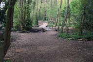 Woodland