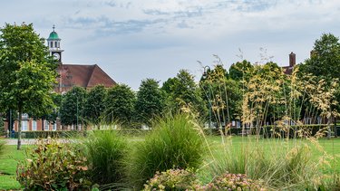 Broadway Gardens in summer, with lots of trees and shrubs in bloom