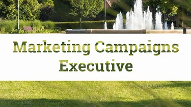 Campaigns Exec