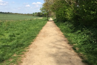 We manage the permissive paths around the Greenway route