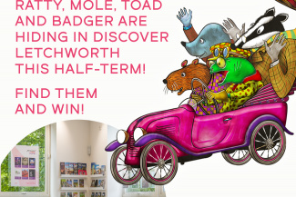 Wind in the Willows competition
