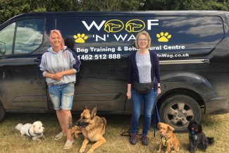 Wag sale dog training
