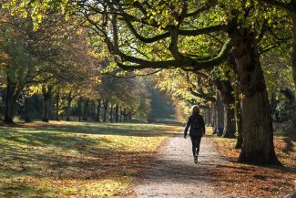 Norton Common