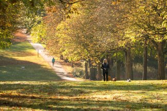 Norton Common