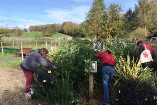 Gardening Masterclass